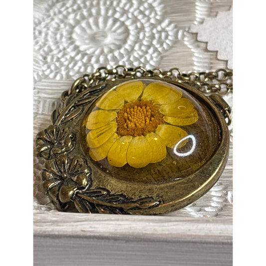 Photo Locket: Vintage Pressed Yellow Daisy Bronze Necklace Botanical Jewelry